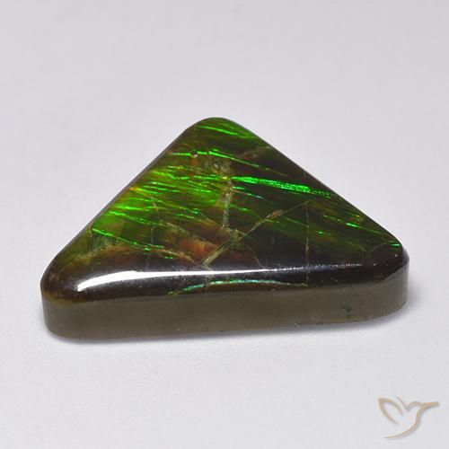 amolita Multicolor natural de 14.54 ct, Trillón, Opaco