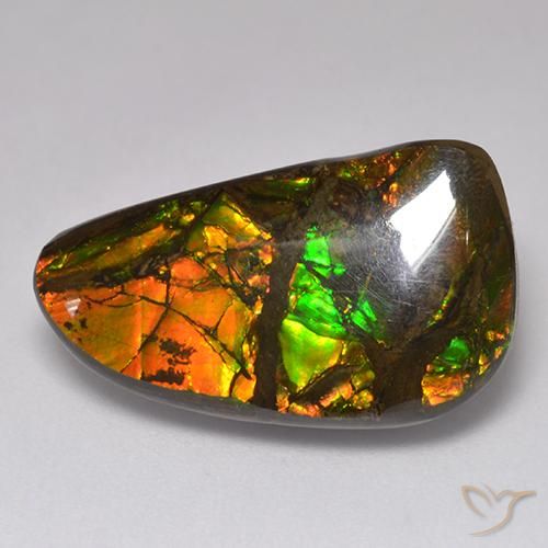 13.48ct Natural Multicolor amolita, Elegante, Opaco