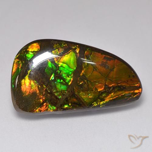 amolita Multicolor natural de 13.48 ct, Elegante, Opaco