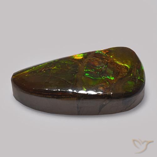amolita Multicolor natural de 13.48 ct, Elegante, Opaco