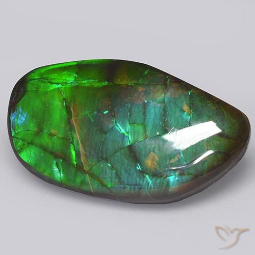 amolita Multicolor natural de 13.66 ct, Elegante, Opaco