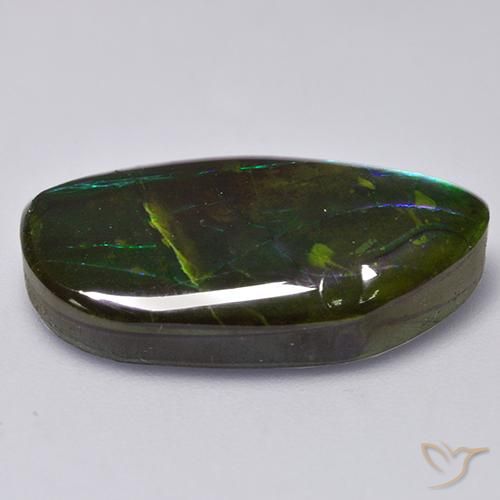 amolita Multicolor natural de 13.66 ct, Elegante, Opaco