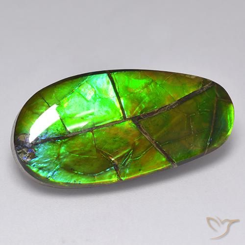 Ammolita multicolor natural de 17,05 ct, forma elegante, opaco