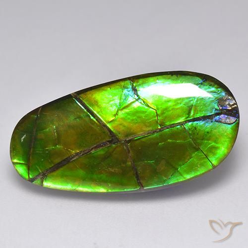 Ammolita multicolor natural de 17,05 ct, forma elegante, opaco
