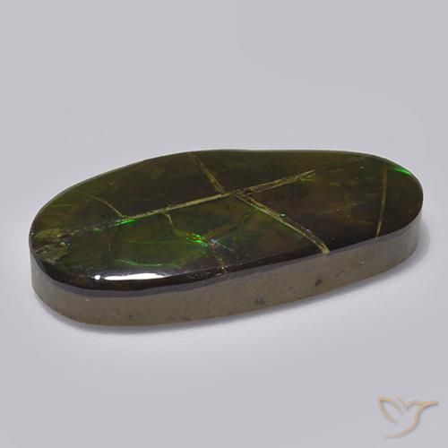 Ammolita multicolor natural de 17,05 ct, forma elegante, opaco