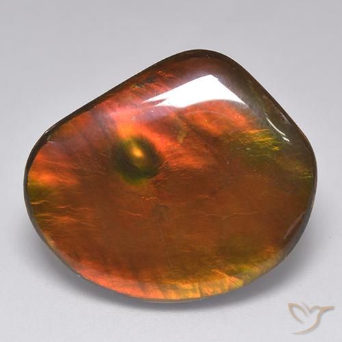 21.29ct Natural Multicolor amolita, Elegante, Opaco