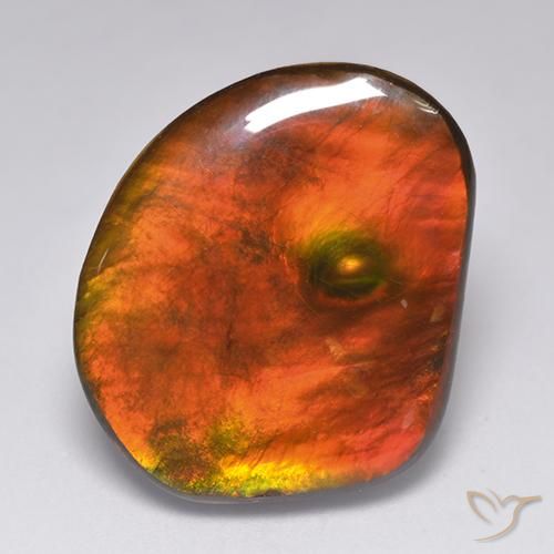amolita Multicolor natural de 21.29 ct, Elegante, Opaco