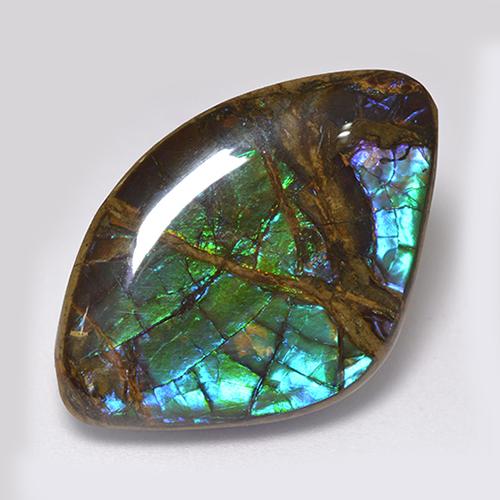 Ammolita multicolor natural de 18,11 ct, forma elegante, opaco