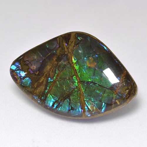 Ammolita multicolor natural de 18,11 ct, forma elegante, opaco