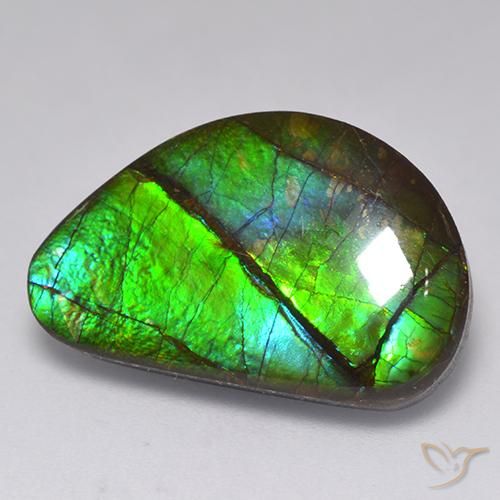 15.82ct Natural Multicolor amolita, Elegante, Opaco