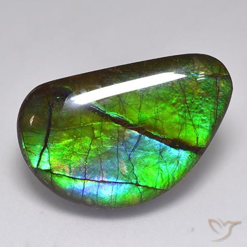 amolita Multicolor natural de 15.82 ct, Elegante, Opaco