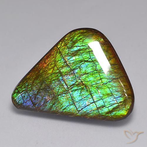 19.82ct Natural Multicolor amolita, Elegante, Opaco