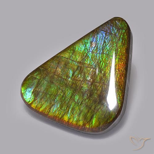 amolita Multicolor natural de 19.82 ct, Elegante, Opaco