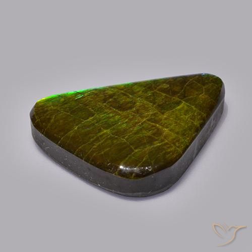 amolita Multicolor natural de 19.82 ct, Elegante, Opaco