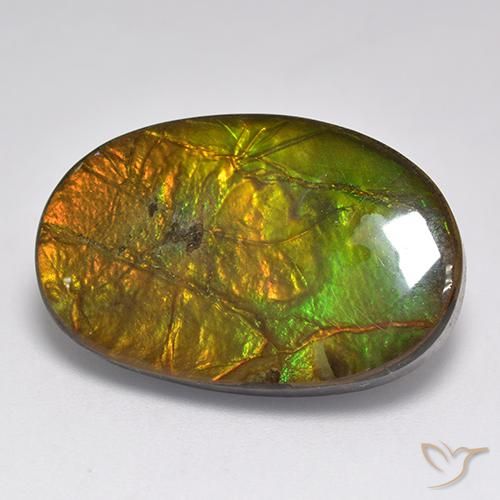 18.91ct Natural Multicolor amolita, Ovalada, Opaco