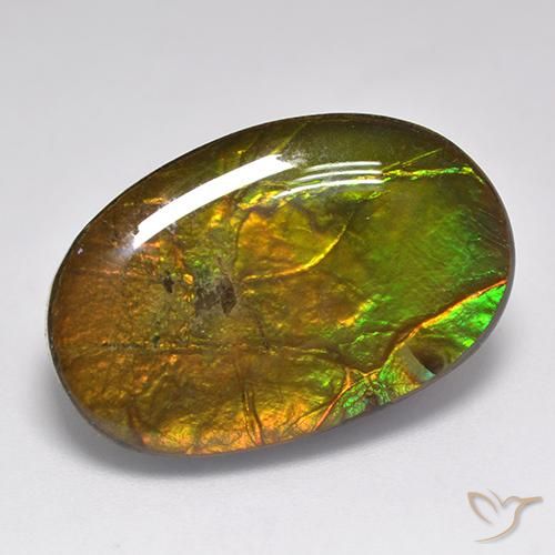 amolita Multicolor natural de 18.91 ct, Ovalada, Opaco