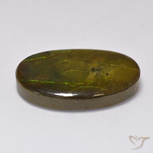 amolita Multicolor natural de 18.91 ct, Ovalada, Opaco
