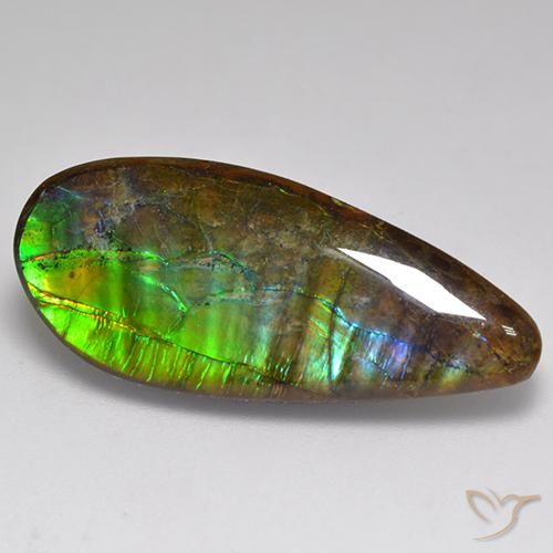 20.06ct Natural Multicolor amolita, Elegante, Opaco