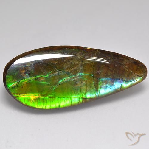 amolita Multicolor natural de 20.06 ct, Elegante, Opaco