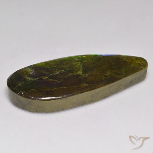 amolita Multicolor natural de 20.06 ct, Elegante, Opaco