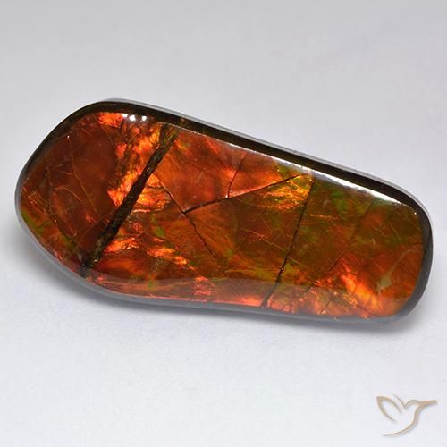 15.53ct Natural Multicolor amolita, Elegante, Opaco