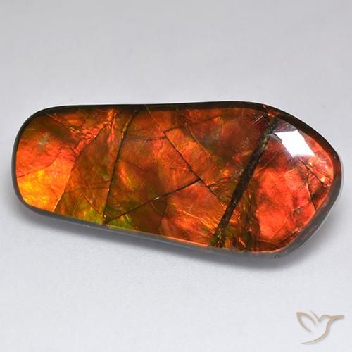 amolita Multicolor natural de 15.53 ct, Elegante, Opaco