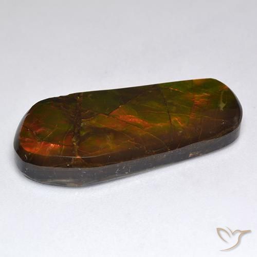 amolita Multicolor natural de 15.53 ct, Elegante, Opaco