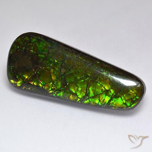 17.04ct Natural Multicolor amolita, Elegante, Opaco