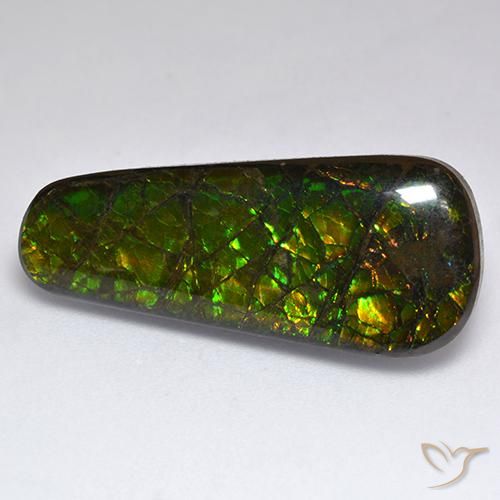 amolita Multicolor natural de 17.04 ct, Elegante, Opaco