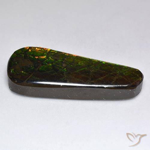 amolita Multicolor natural de 17.04 ct, Elegante, Opaco