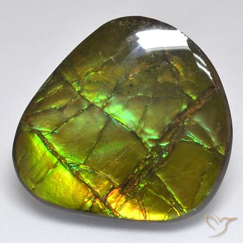 18.81ct Natural Multicolor amolita, Elegante, Opaco
