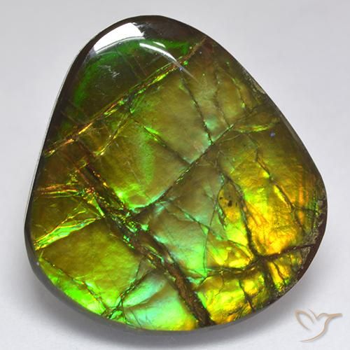amolita Multicolor natural de 18.81 ct, Elegante, Opaco
