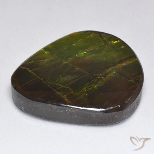 amolita Multicolor natural de 18.81 ct, Elegante, Opaco