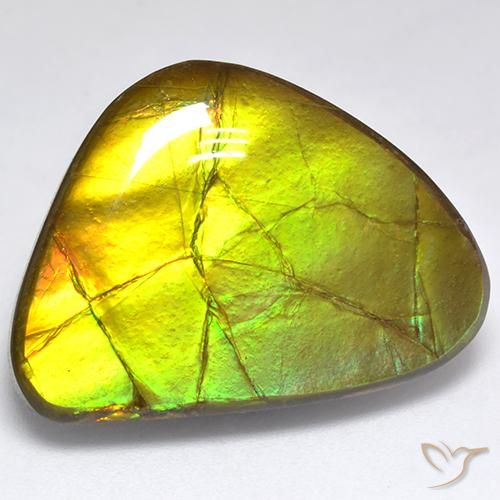 19.06ct Natural Multicolor amolita, Elegante, Opaco