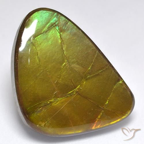 amolita Multicolor natural de 19.06 ct, Elegante, Opaco