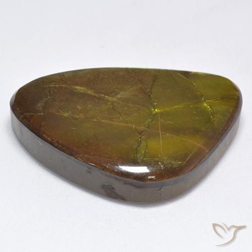 amolita Multicolor natural de 19.06 ct, Elegante, Opaco