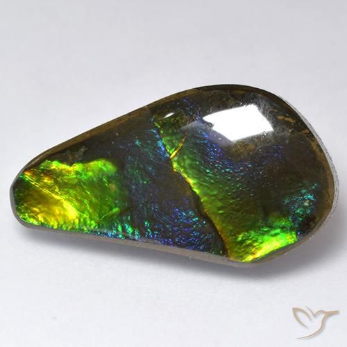 amolita Multicolor natural de 11.35 ct, Elegante, Opaco