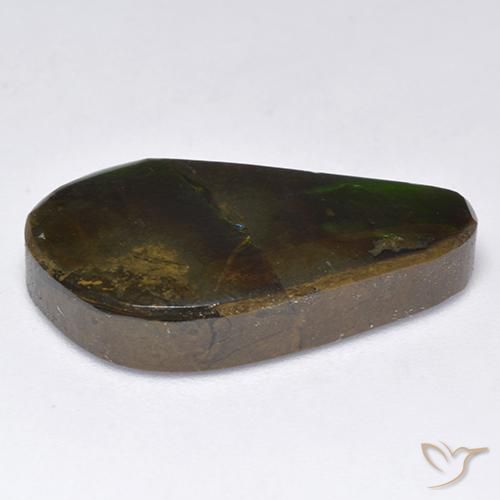 amolita Multicolor natural de 11.35 ct, Elegante, Opaco