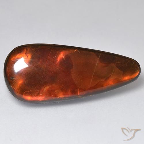 13.57ct Natural Multicolor amolita, Elegante, Opaco