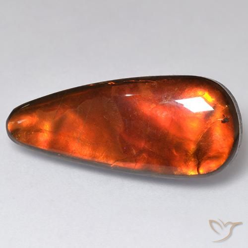 amolita Multicolor natural de 13.57 ct, Elegante, Opaco