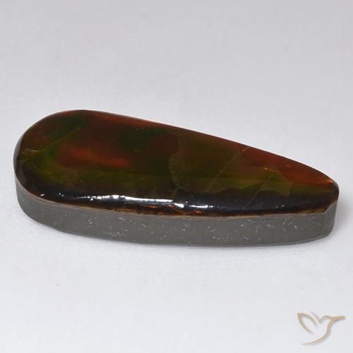 amolita Multicolor natural de 13.57 ct, Elegante, Opaco