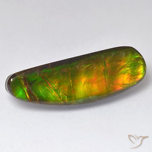11.01ct Natural Multicolor amolita, Elegante, Opaco