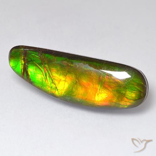 amolita Multicolor natural de 11.01 ct, Elegante, Opaco