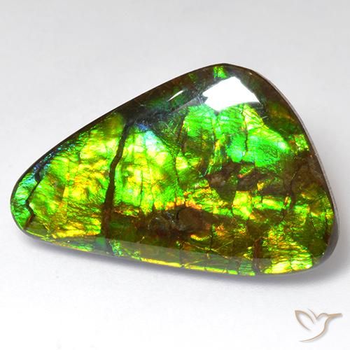 18.51ct Natural Multicolor amolita, Elegante, Opaco