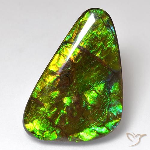 amolita Multicolor natural de 18.51 ct, Elegante, Opaco
