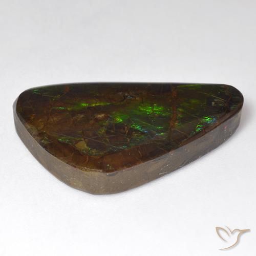 amolita Multicolor natural de 18.51 ct, Elegante, Opaco