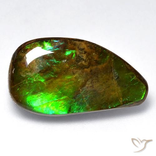 12.04ct Natural Multicolor amolita, Elegante, Opaco