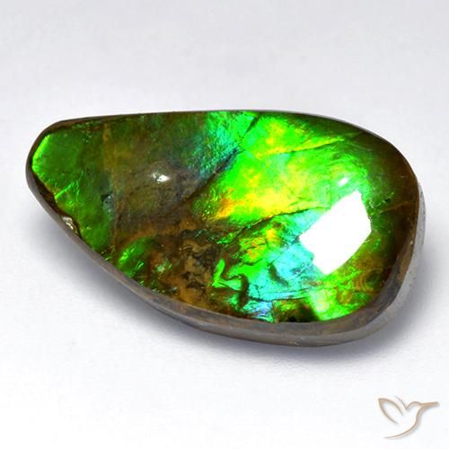 amolita Multicolor natural de 12.04 ct, Elegante, Opaco