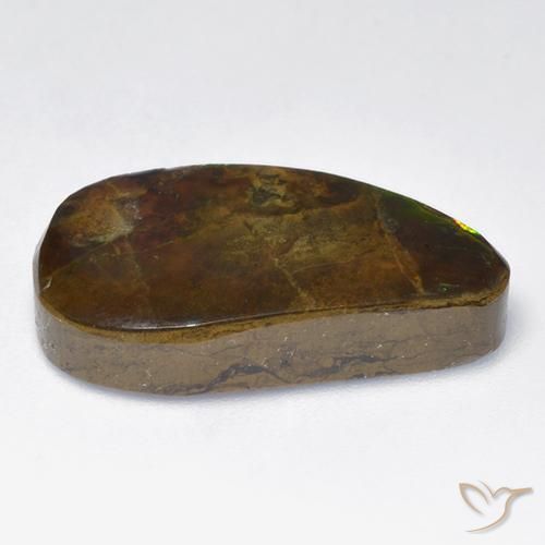 amolita Multicolor natural de 12.04 ct, Elegante, Opaco