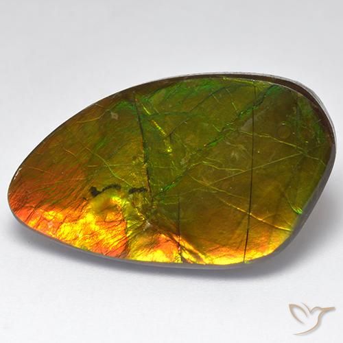 22.28ct Natural Multicolor amolita, Elegante, Opaco
